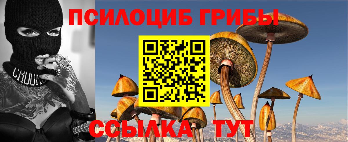 где купить наркоту  Галлюциногенные грибы Magic Shrooms  Вход с VPN  Псилоцибиновые грибы Cubensis  Тайшет 