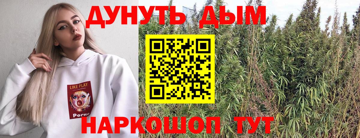 Каннабис индика Тайшет